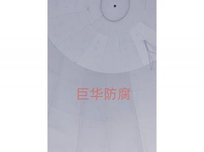 罐体以及内件衬四氟